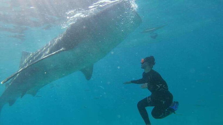cebu-group-tour-whaleshark-watching-kawasan-canyoneering