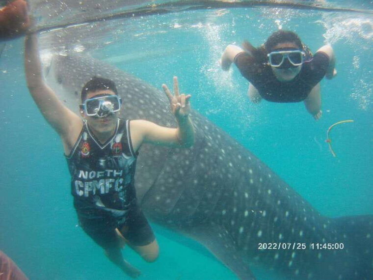 cebu-group-tour-whaleshark-watching-kawasan-canyoneering