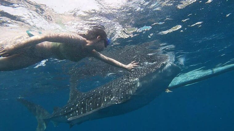 cebu-group-tour-whaleshark-watching-kawasan-canyoneering