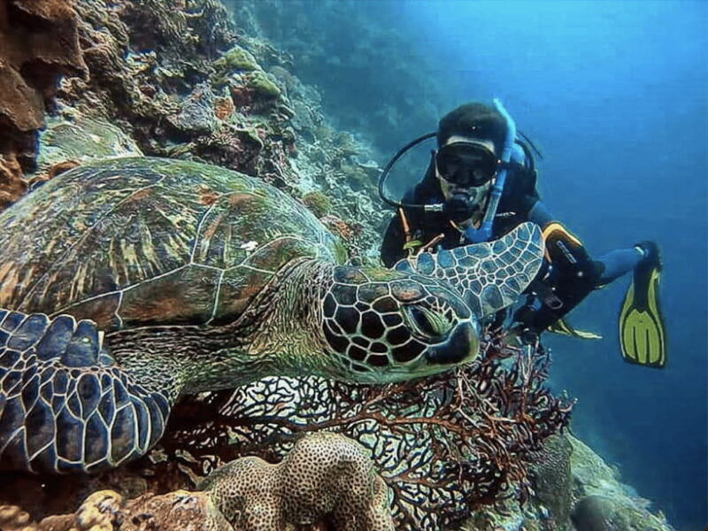 cebu-how-to-get-two-for-one-price-scuba-certification