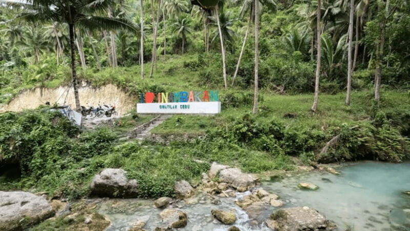 Cebu: Inambakan, Kawasan, and Mantayupan Falls Day Trip - Who Will Enjoy This Tour?