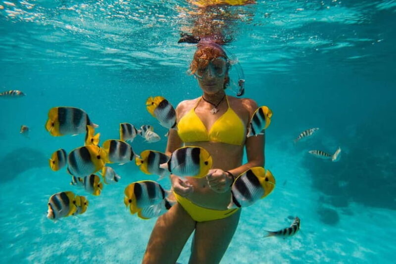 Cebu: Island Hopping 3 Islands + Pandanon Island + Lunch - An In-Depth Look at the Tour