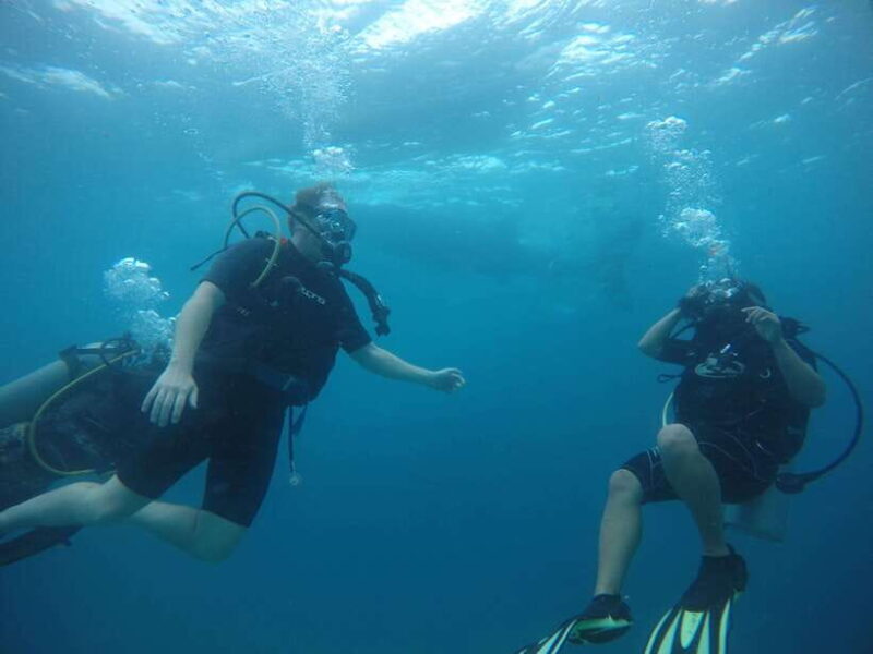 Cebu: Kanlahing Peak Sea of Clouds & Polpog-Nonok Stream - Key Points