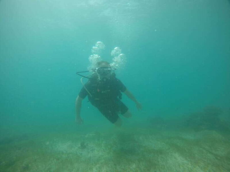 Cebu: Kanlahing Peak Sea of Clouds & Polpog-Nonok Stream - Who This Tour Is Best For