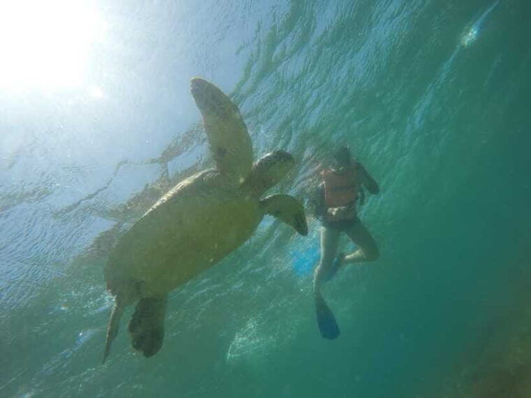 cebu-kawasan-canyoneering-sardines-run-and-turtle-chase