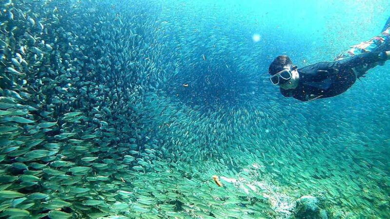 cebu-mactan-island-hopping-tour-with-snorkeling