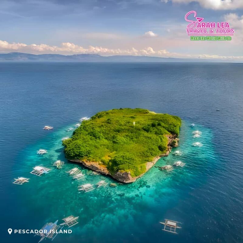 Cebu: Moalboal & Kawasan Canyoneering Adventure - An In-Depth Look at the Cebu Moalboal & Kawasan Canyoneering Tour