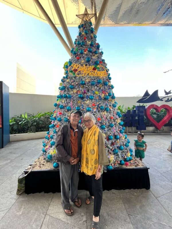 Cebu: Moalboal Sardine Run and Snorkeling Tour - What to Expect from the Moalboal Sardine Run and Snorkeling Tour