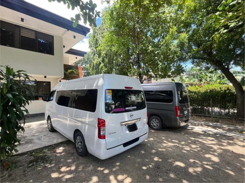 Cebu: Moalboal Sardine Run and Snorkeling Tour - The Sum Up