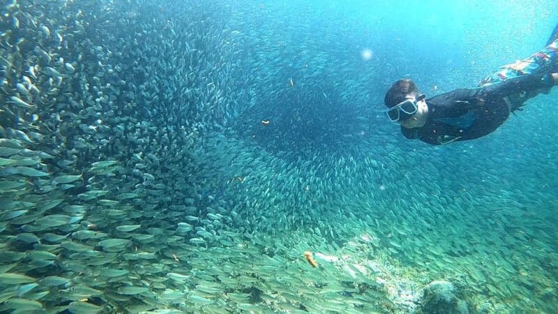 Cebu: Moalboal Snorkeling, Mantayupan Falls & ATV Adventure - Thrilling ATV Ride through Cebus Countryside