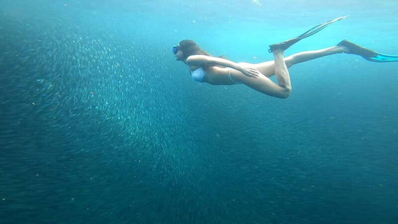 Cebu: Moalboal Snorkeling, Mantayupan Falls & ATV Adventure - Value for Money