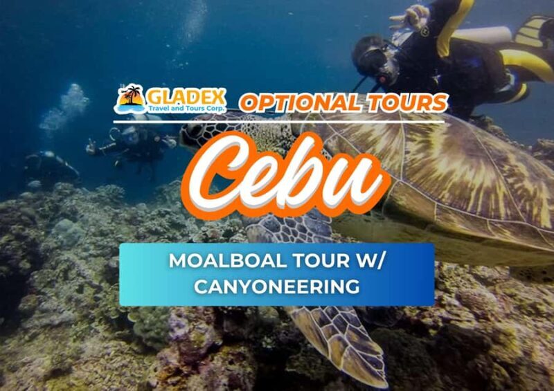 Cebu: Moalboal Tour with Canyoneering - Key Points