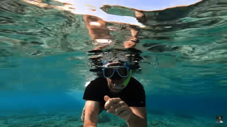 cebu-oslob-whale-shark-and-moalboal-snorkeling-adventure-2