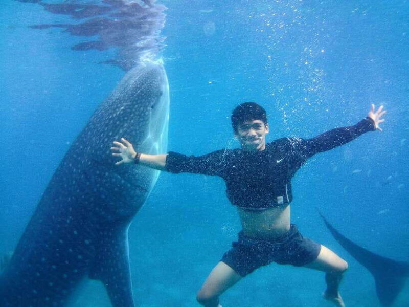 cebu-oslob-whale-shark-encounter-sumilon-with-transfers