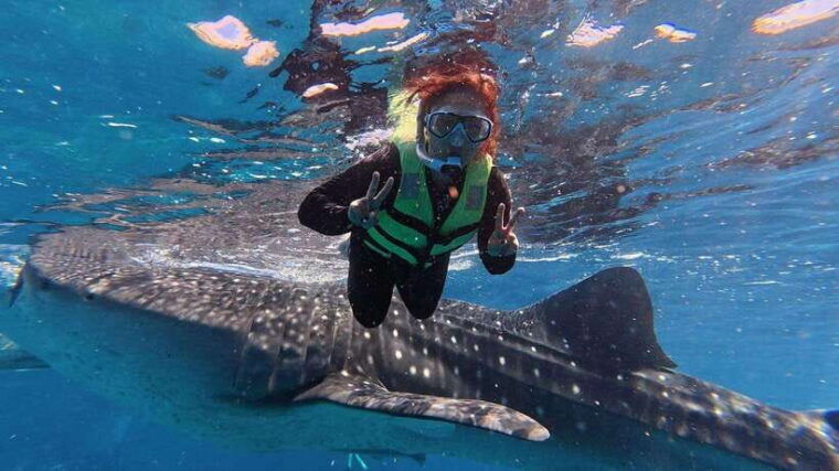 cebu-oslob-whale-shark-encounter-sumilon-with-transfers
