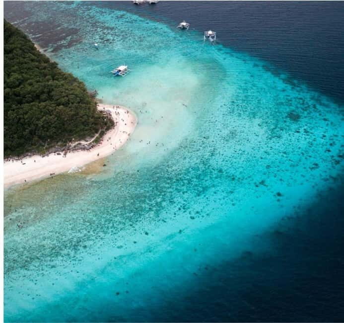 Cebu: Oslob Whale Shark Swim and Sumilon Island Day Tour - Key Points