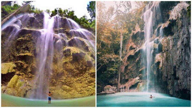cebu-oslob-whale-shark-swim-and-sumilon-island-day-tour