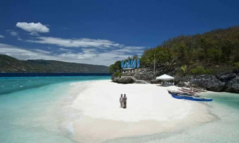 Cebu: Oslob Whale Shark, Tumalog Falls, and Sumilon Sandbar - Key Points