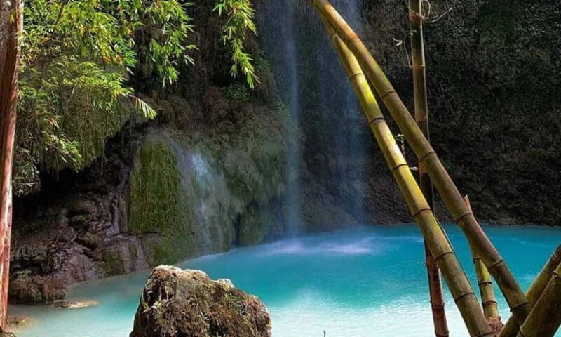 Cebu: Oslob Whale Shark, Tumalog Falls, and Sumilon Sandbar - Practical Tips for the Tour