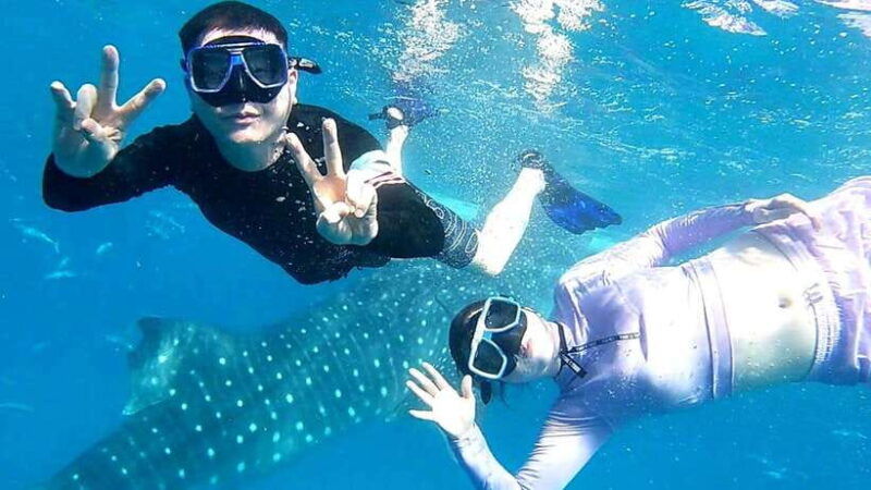 cebu-oslob-whale-shark-watching-and-inambakan-waterfalls