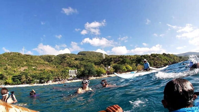 Cebu Oslob: Whale Shark Watching Experience - Authentic Perspectives from Past Travelers