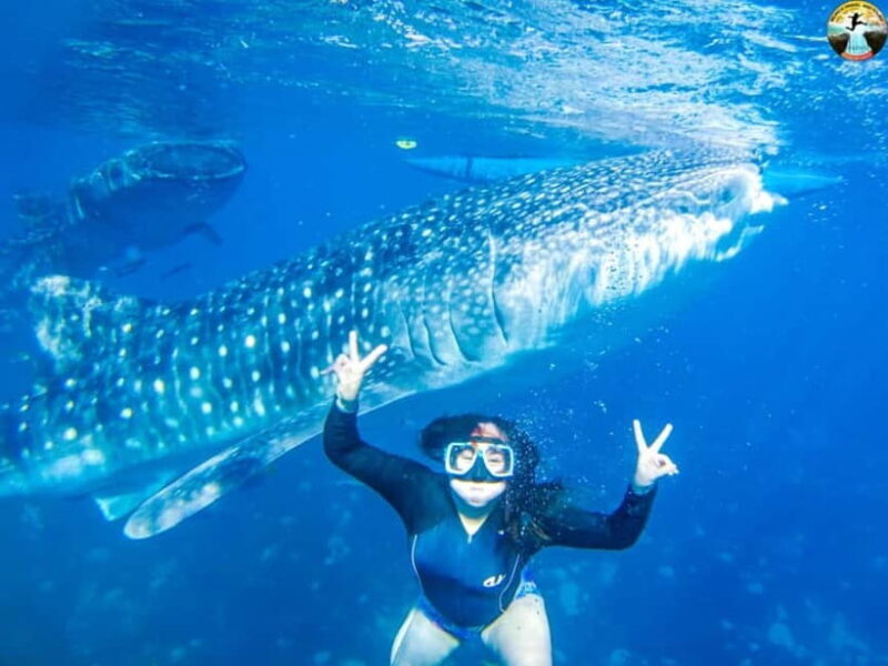 Cebu: Oslob Whale Sharks & Kawasan Canyoneering Group Tour - An Overview of the Tour Experience
