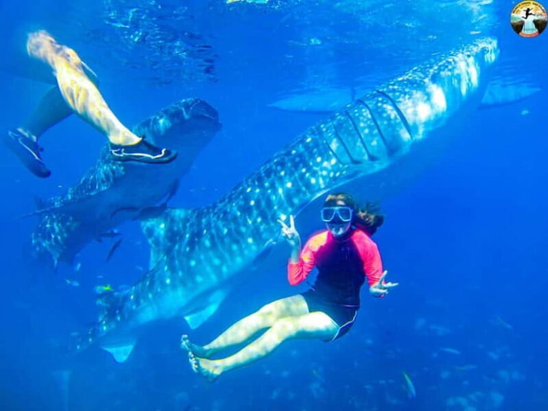 Cebu: Oslob Whale Sharks & Kawasan Canyoneering Group Tour - What’s Included & What You Should Know