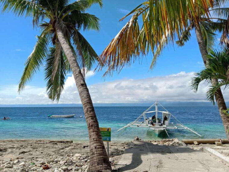 cebu-oslob-whale-sharks-moalboal-sardine-run-sea-turtles