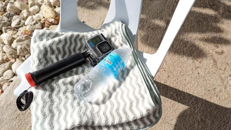 Cebu: Oslob Whale Sharks, Moalboal Sardine Run & Turtles - Who is this tour best suited for?