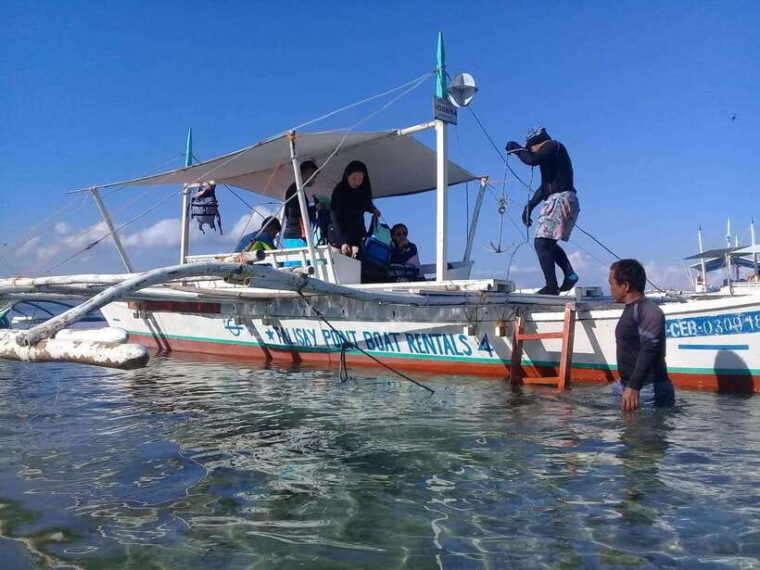 cebu-oslob-whale-sharks-tumalog-falls-sardine-snorkeling
