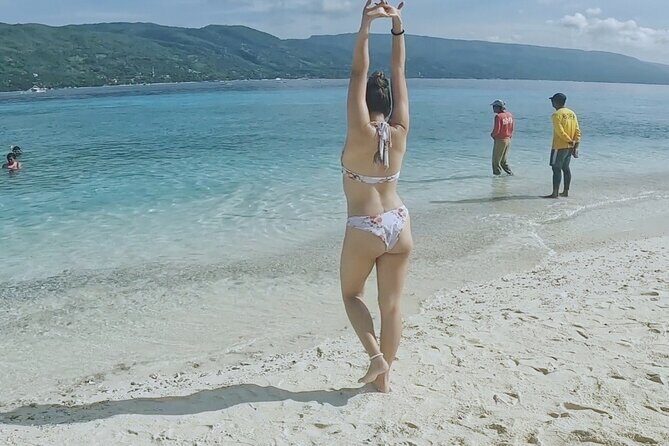 Cebu Oslob Whaleshark and Sumilon Island Full-Day Private Tour - An In-Depth Look at What to Expect