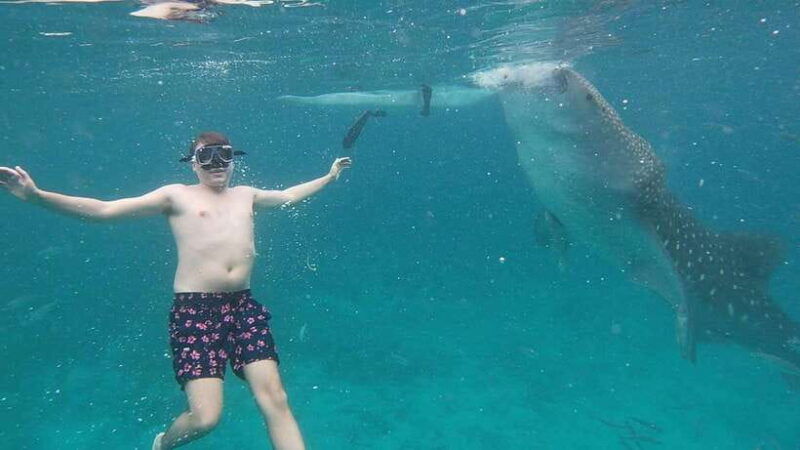 cebu-oslob-whaleshark-sardines-run-snorkeling-day-tour
