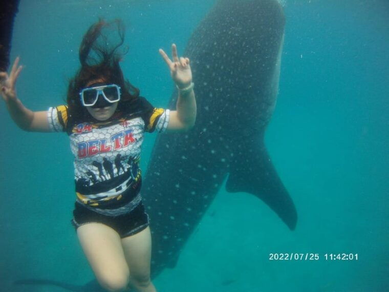 cebu-oslob-whaleshark-watching-day-tour