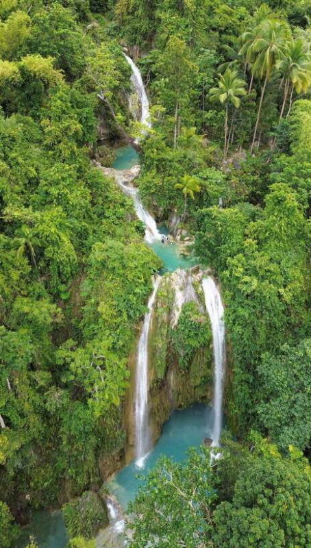cebu-oslob-whalesharkinambakan-falls-moalboal-sardines-run