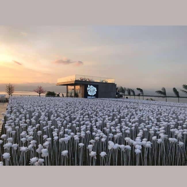 Cebu Panoramic Night Tour - Why This Tour Offers Great Value