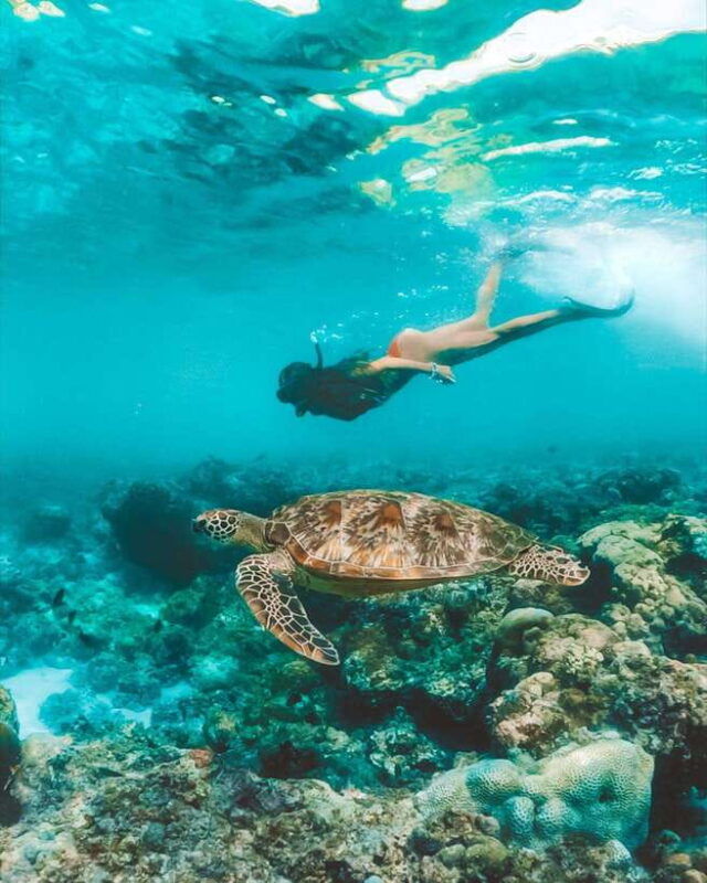 cebu-pescador-island-sardines-run-and-kawasan-canyoneering