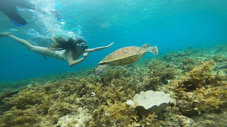 cebu-pescador-island-sardines-run-and-kawasan-canyoneering