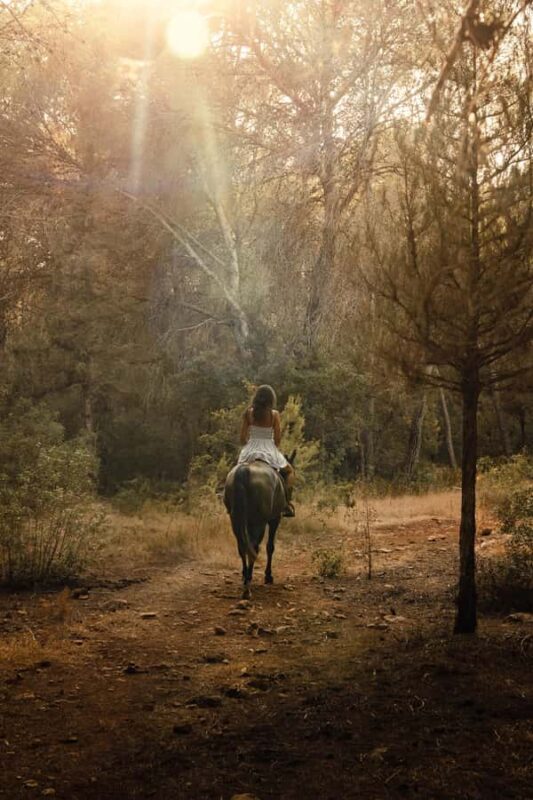 Cebu, Philippines: Mountain Heritage Horseback Ride - Key Points