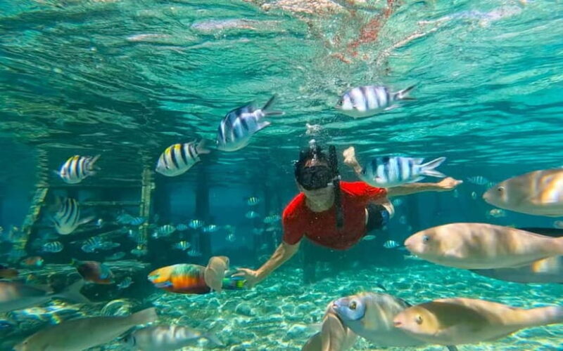 Cebu: Private Mactan Island Hopping Tour with Lunch - A Deep Dive into the Tour Experience