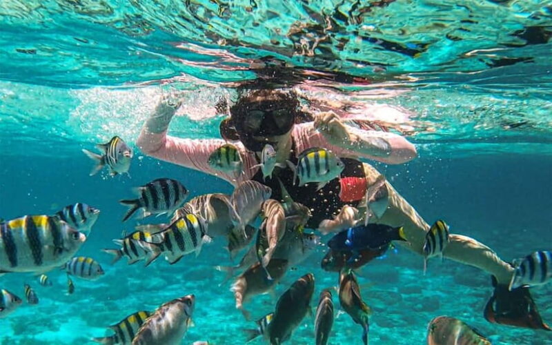 Cebu: Private Mactan Island Hopping Tour with Lunch - Value for Money & Overall Impression