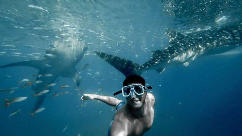 cebu-private-sumilon-island-optional-whale-shark-swim