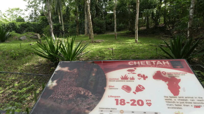 cebu-safari-experience-wildlife-up-close