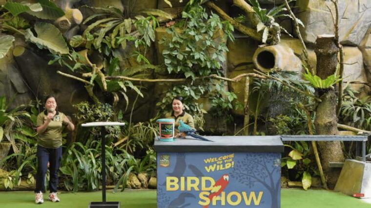 cebu-safari-experience-wildlife-up-close