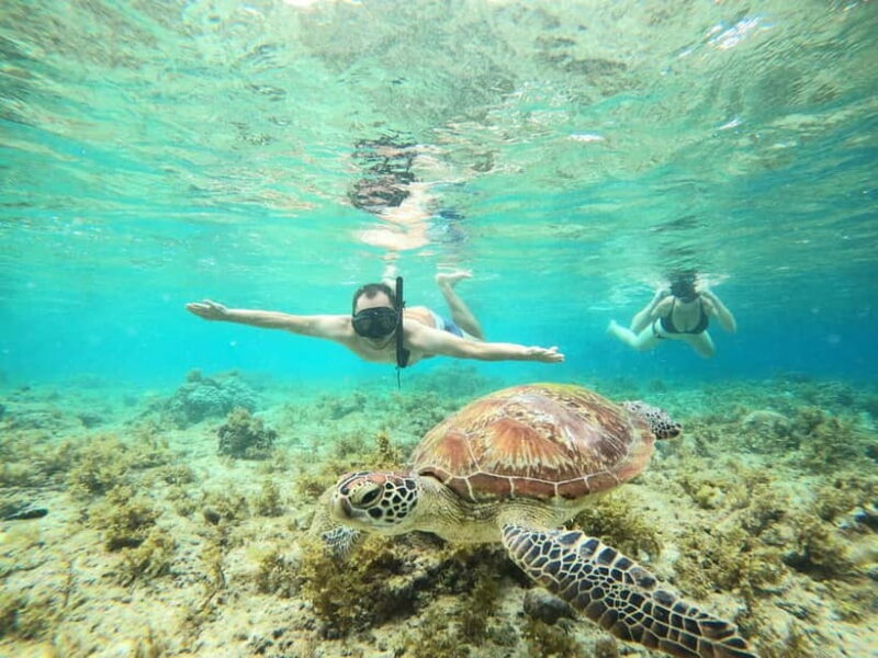 Cebu: Sardine Run Snorkeling, Mantayupan Falls & ATV Thrills - Final Thoughts: Who Is This Tour Perfect For?