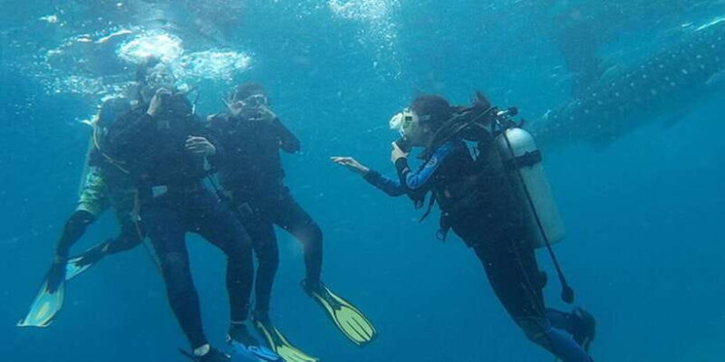 Cebu: Scuba Diving with Whale Sharks Trip in Oslob - The Sum Up