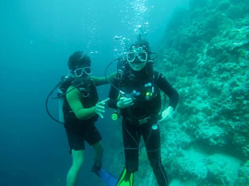Cebu: Scuba Diving with Whale Sharks Trip in Oslob - FAQ
