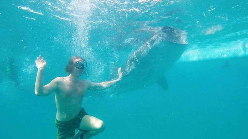 cebu-shared-tour-whaleshark-swimming-kawasan-canyoneering