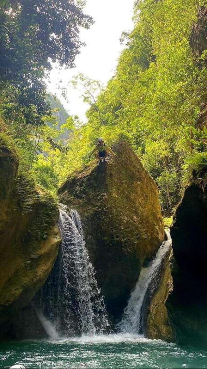 cebu-shared-tour-whaleshark-swimming-kawasan-canyoneering