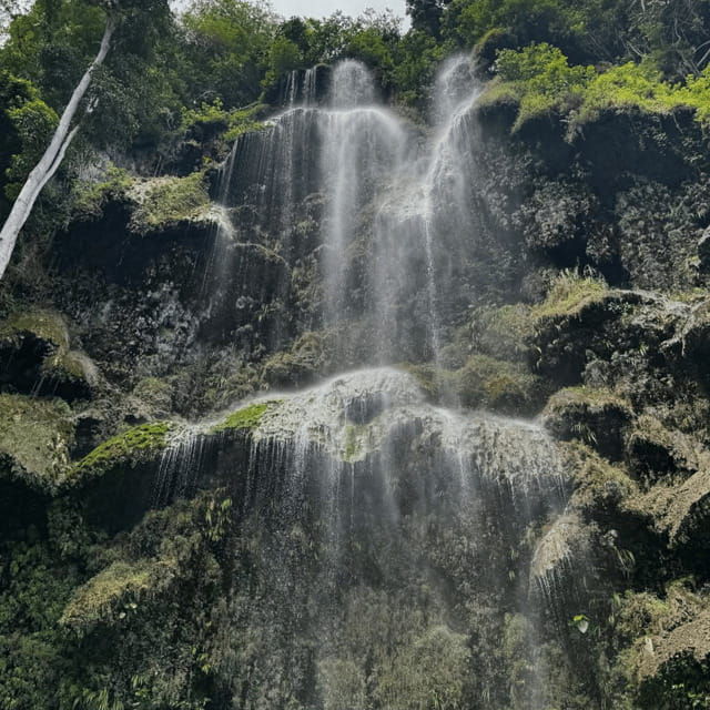 cebu-small-group-south-cebu-oslob-and-simala-16-hour-tour