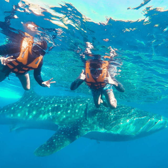 cebu-small-group-south-cebu-oslob-and-simala-16-hour-tour